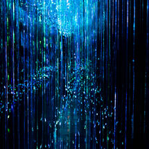 Dijital Deneyim Müzesi