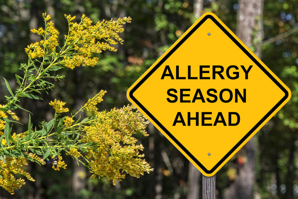 Allergy Season Is Here