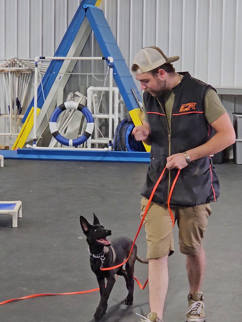 Puppy Echo learning leash manners during Day Train session in Northern Colorado