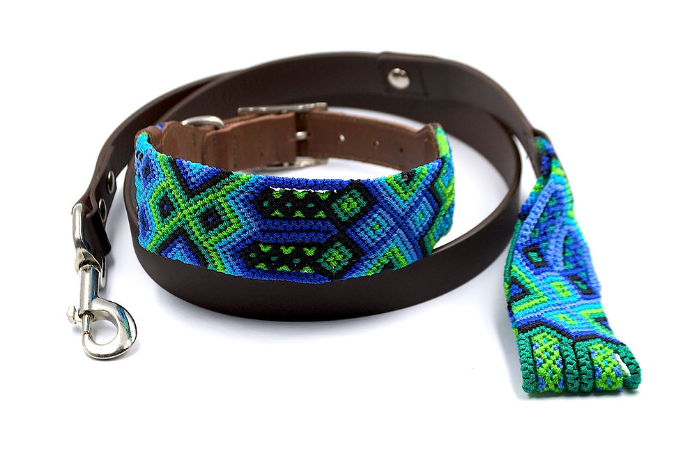 Collar & Lead Set / l