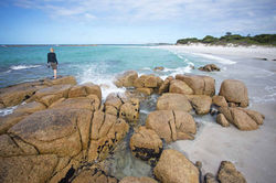 133204-Beach,-North-Region,-TAS