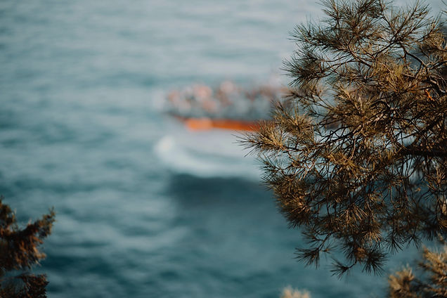 pexels-david-bartus-43782-1340704_edited.jpg