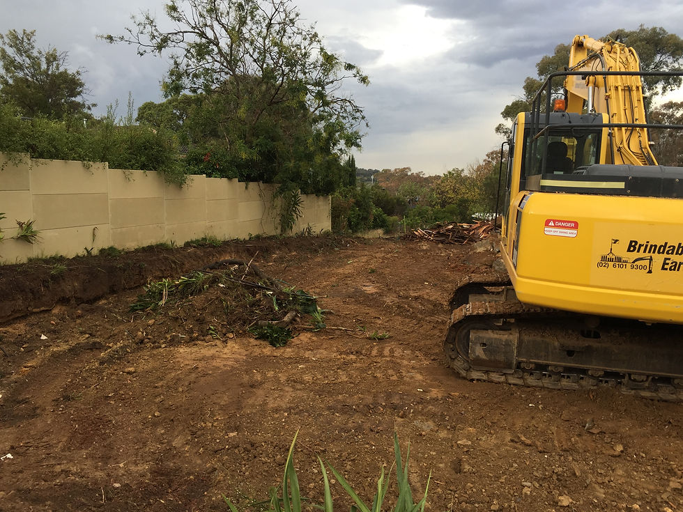 Green waste removed