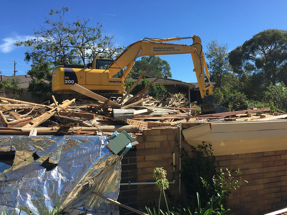 Mr Fluffy house demolition