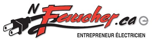 N Facuher.webp