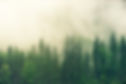 nature-wallpaper-ga8dc489d9_1920.jpg