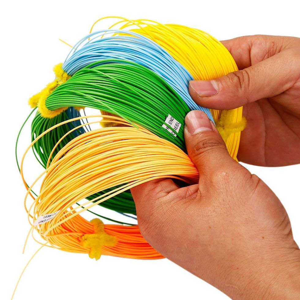 Thumbnail: 100FT Floating Weight Forward Fly Line