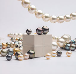 Akoya Pearls vs. Freshwater Pearls
