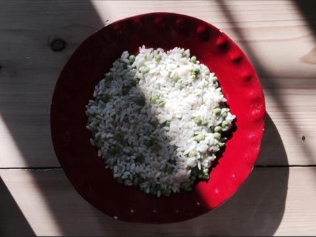 Risotto filante piselli e scamorza