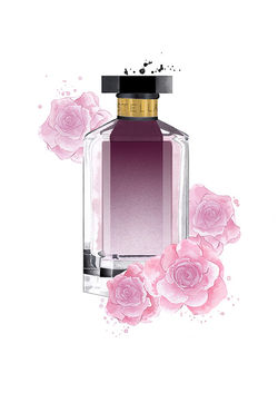 Stella Perfume illustration