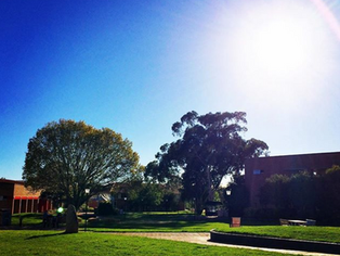 Charles Sturt University