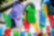21273711_1698668453507506_21971846452591
