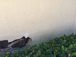 Stucco repair