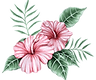 Fleurs Aquarelle