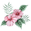 Flores da aguarela