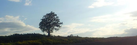 Furano View!.jpg