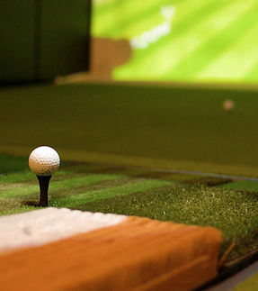 Multi-Sport Simulators.png