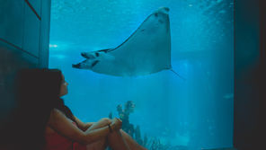 Oceanário de Lisboa: como comprar ingressos sem fila + dicas de viagem (com preços)
