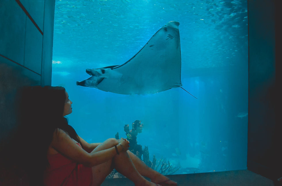 oceanario de lisboa