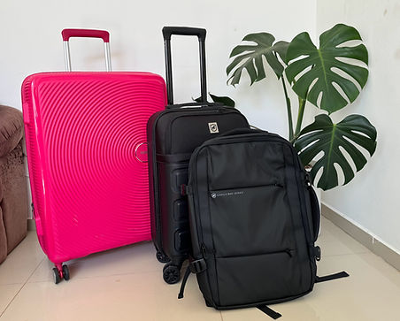 MALAS DE VIAGEM