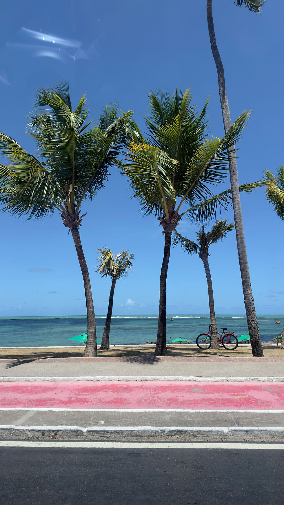 transfer ou aluguel de carro em maceió