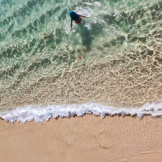 ilha das couves