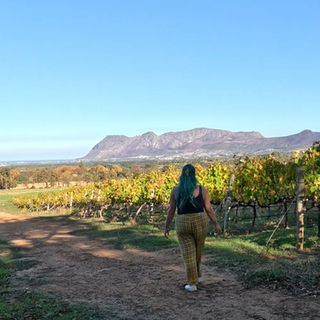 quanto custa África do Sul