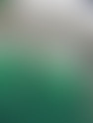 o que fazer em bombinhas