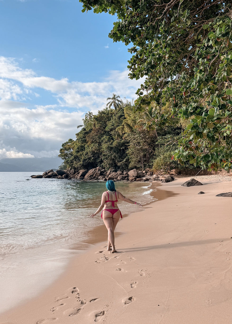 melhores praias ubatuba
