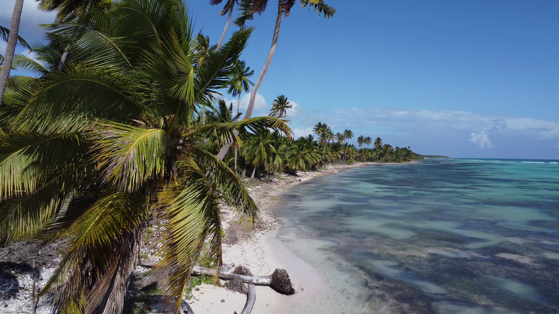 isla saona