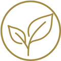 icon-leaf.png