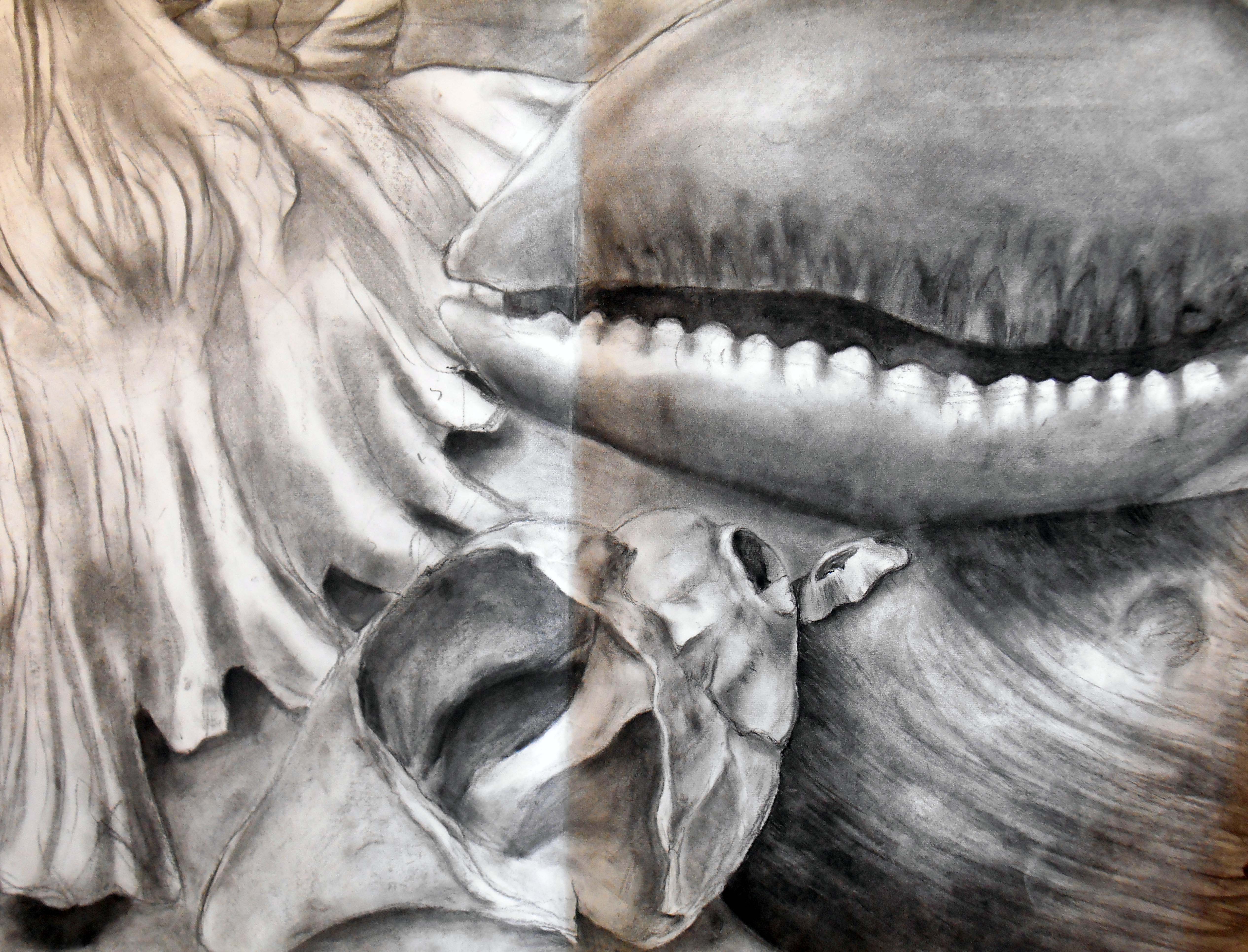 Year 10 Natural Forms