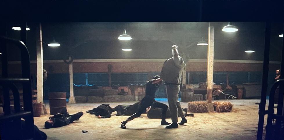 Screengrab of barn fight