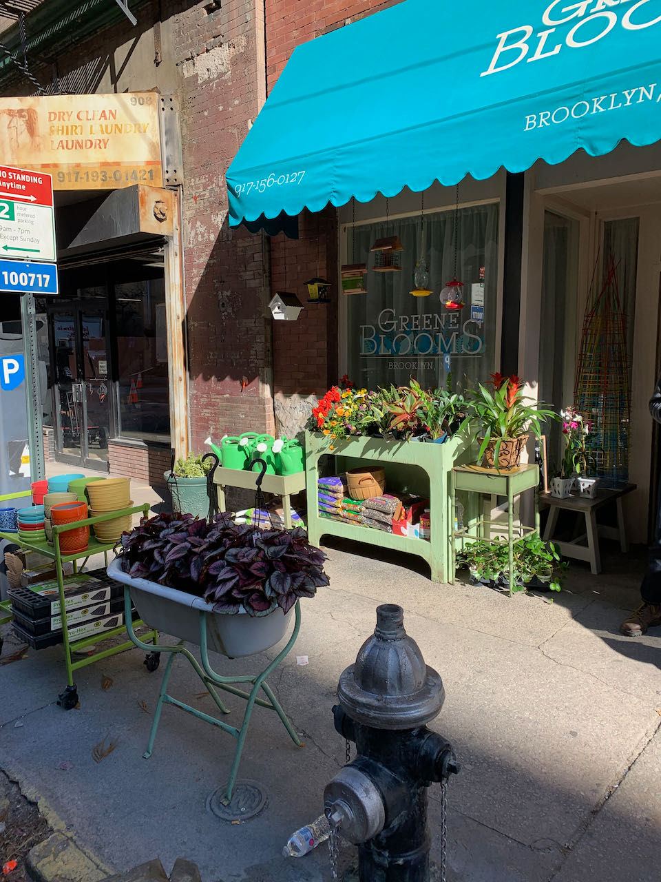 Bodega Market