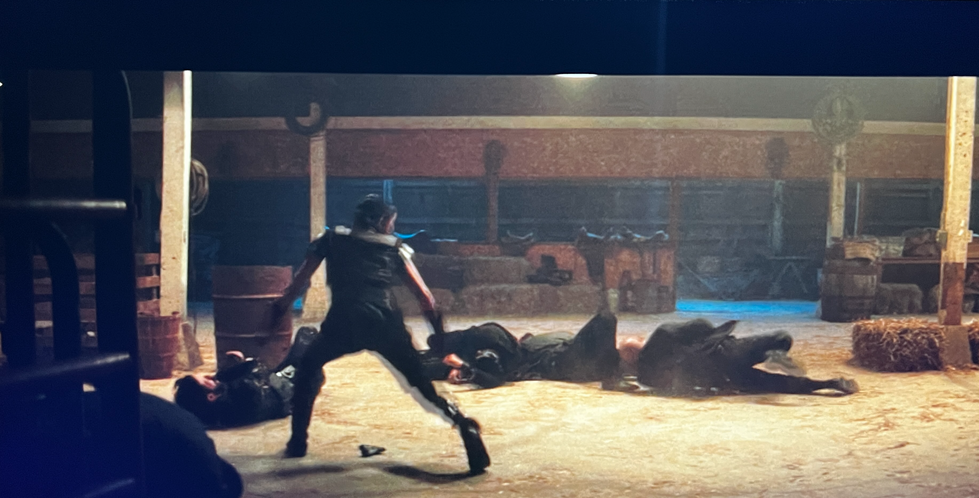 Screengrab of barn fight