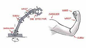 Articulated Robotic Arm