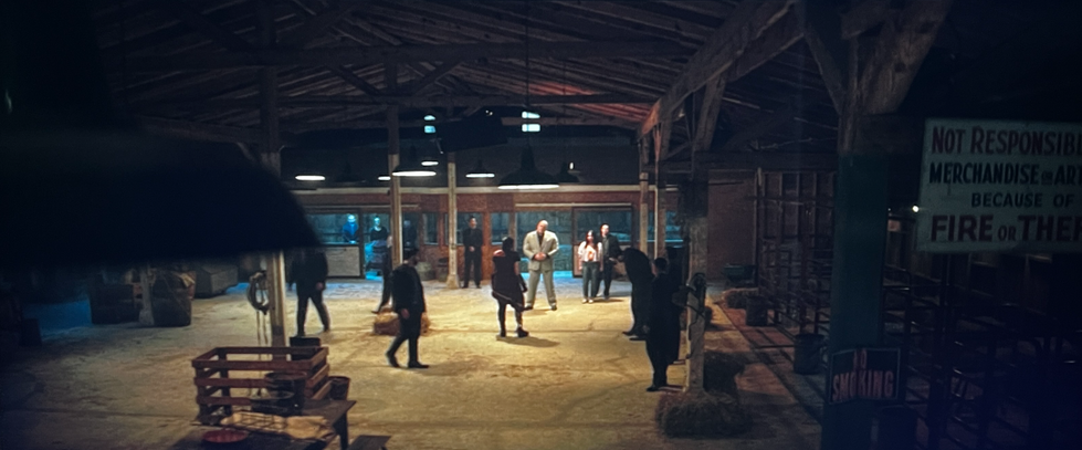 Screengrab of barn fight