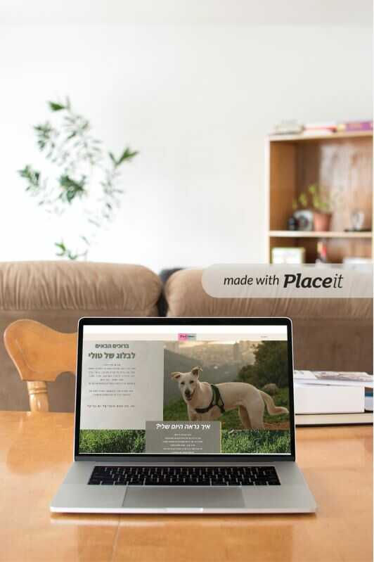 a laptop