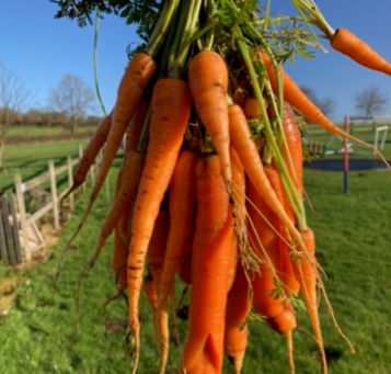 COOKING WITH SEASONAL VEG