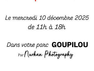 PHOTOGRAPHIE DE NOËL