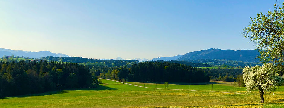 Bild wix - 1 (8).jpeg