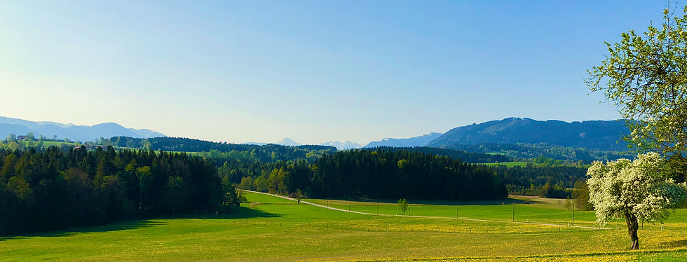 Bild wix - 1 (8).jpeg