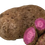 Thumbnail: Purple Yam / Kaand