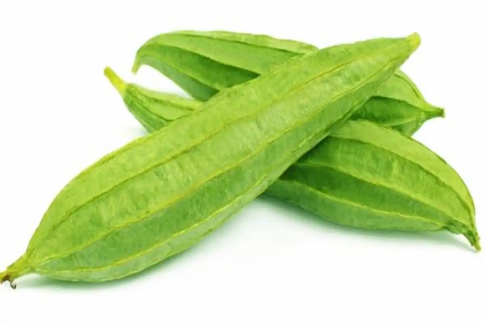 Thumbnail: Ridge Gourd / Turiya - Turai