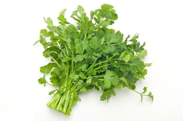 Thumbnail: Coriander / Dhaniya (Kotmir)