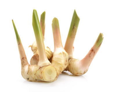 Thumbnail: Thai Ginger / Galangal