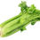 Thumbnail: Celery