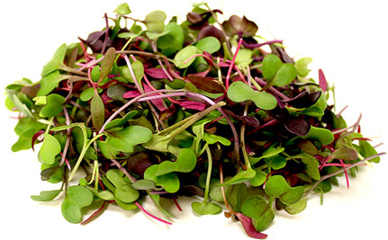 Thumbnail: Microgreens Mix