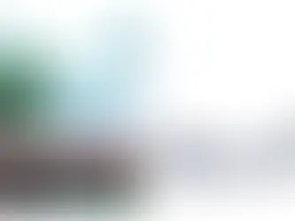 Westminster's drive to become the UK's leading PIE borough