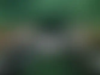 We Belong, We All Belong